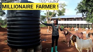 All You Need To Start A Simple GOAT Farm Business DETAILED Plan Farm Routine [upl. by Cheke890]