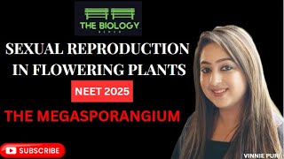 Megasporangium I Sexual Reproduction in Flowering Plants Class 12 Biology I cbseboard neet 2025 [upl. by Etra]