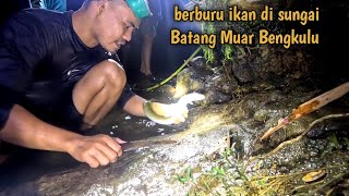 menyelam nembak ikan di sungai jernih [upl. by Ikkela]