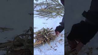 bushcraft camping survival bushcrafting skills lifehacks [upl. by Nea]