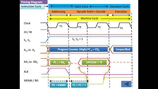 MPU 8085 Communication Bus Timings and Address Data DeMultiplexing [upl. by Assenov302]