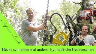 Hecke schneiden mal anders mit IHC 323 und Hydraulische Heckenschere [upl. by Knutson308]