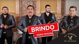 Brindo La Nobleza De Aguililla Video Oficial [upl. by Anola]