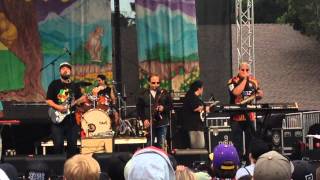 Katchafire quotGroove Againquot live at CaliRoots 2014 [upl. by Durnan]