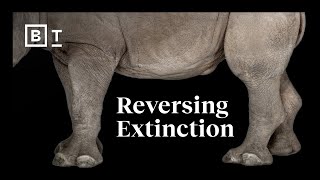 We can bring extinct species back from the dead  Big Think [upl. by Mixam]