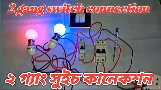 How to Wire a 2 Gang Switch  Two Gang Switch Connection [upl. by Clemence218]