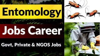 Entomology  Careers in Entomology  Entomology Job Scope [upl. by Wilow]