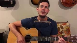 Barry Louis Polisar  All I Want Is You  Cover [upl. by Cora]