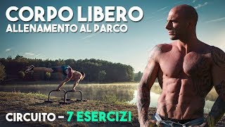 Circuito Corpo Libero  Bicipiti Tricipiti Petto Dorso Spalle e Addome ▪ WORKOUT al PARCO [upl. by Albrecht]