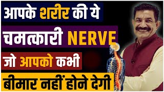 Body Healing Techniques Never Fall Sick Again करो ACTIVATE अपनी इस जादुई NERVE को  Ram Verma [upl. by Solita674]