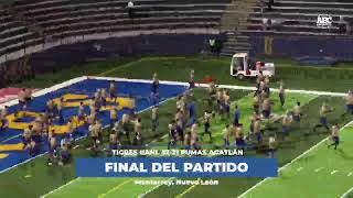 ONEFA  Sigue la Liga Mayor por ABC Deportes Auténticos Tigres recibe a Pumas Acatlán en parti… [upl. by Anelas]