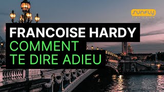 Françoise Hardy  Comment te dire adieu  Karaoke [upl. by Gulgee]