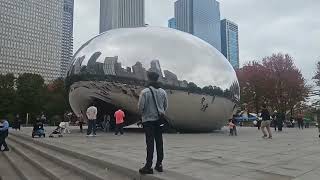 Chicago Millenium Park Christmas Tree Setup [upl. by Ahsap]