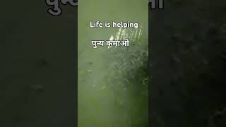 Life life is helping is helping [upl. by Mail]