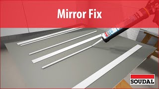 Mirror Fix [upl. by Seroka]