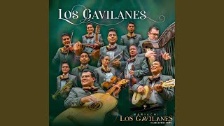 Los Gavilanes [upl. by Letsyrhc]