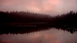 4 TRUE SCARY Lakes And Rivers Haunting Ghost Stories [upl. by Ladnyk]