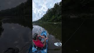 Rock Bass on Crooked Creek  Kayak Fishing  Bonafide RVR 119  Nature [upl. by Orazal]