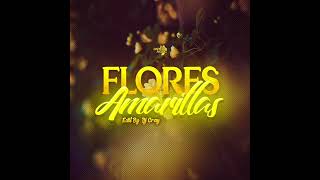 🌻 Flores amarillas  Floricienta  Intro Brake DJ CRAY X IMPERIO MUSIC [upl. by Aetnahs]