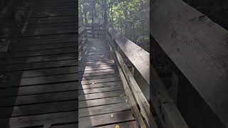 BearTown State Park West Virginia Boardwalk WV [upl. by Ameen]