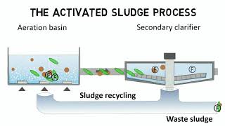 Activated sludge process and IFAS  Design rules  guideline [upl. by Edgar]