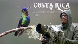 in search for the perfect photo photographing Hummingbirds and Quetzals in Costa Rica [upl. by Lotty]