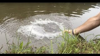 DIY Pond Aeration Improve Your Pond Water Quality plus quotBig Maxquot vs Hiblow aerators [upl. by Gladstone972]