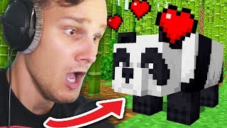 Ik ontvoer een Panda in Minecraft [upl. by Etterb]