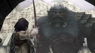 SHADOW OF THE COLOSSUS 15  O COLOSSO SENTINELA Gameplay em Português PTBR [upl. by Beaufert]