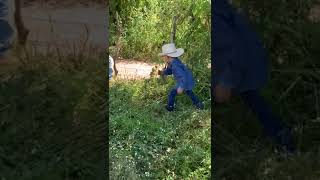 paraty Mi abuelito le anda enseñando a mi hermanito a usar el machete✨✨👨‍🌾👨‍🌾fypシ゚viral campo [upl. by Amitak944]