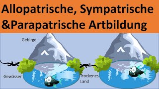 Allopatrische sympatrische und parapatrische Artbildung Biologie Evolution Oberstufe [upl. by Bartlet968]