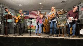 Wilson Banjo Company with Ronnie Bowmans quotIll Be Doggedquot Live at Everetts Music Barn [upl. by Pippa]