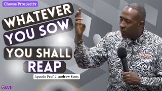 Whatever You Sow You Shall Reap  Apostle Andrew Scott [upl. by Siraf]