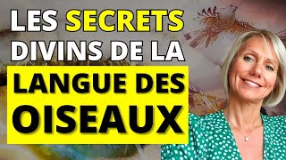 Comprendre le Langage des Oiseaux Révélations Étonnantes [upl. by Nylesoj242]