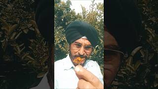 Song mile na phool to kanton se dosti kar li youtube short video ytshorts Mohammed Rafi [upl. by Witha]