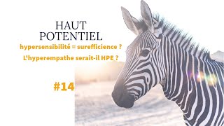 HAUT POTENTIEL 14 Hypersensibilité  surefficience  Le profil HPE seraitil un hyperempathe [upl. by Nylrehs]