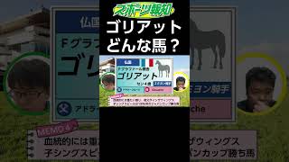 【ジャパンカップ2024】強豪外国馬・ゴリアット徹底分析その①！武豊＆ドウデュースは勝てるのか？ [upl. by Nahsar]