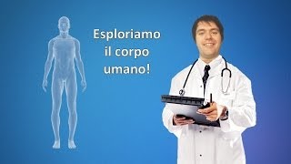 Apprendre lItalien  Leçon 37 partie 1  Il corpo umano e le medicine [upl. by Akirahc545]