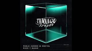 Pablo Juarez amp Oskyal  Rico Y Suave Original Mix TAMANGO XPRESS [upl. by Draper]