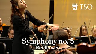 Ludwig van Beethoven Symphony no 5 [upl. by Nnaeel]