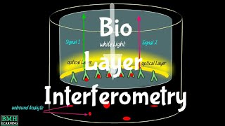 Bio Layer Interferometry  BLI Technology  Biomolecular Intractions Using Bio Layer Interferometry [upl. by Yniffit567]