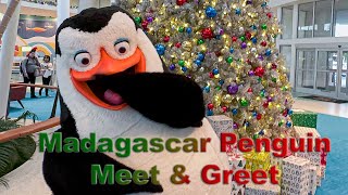 8K Madagascar Penguin Meet amp Greet in Cabana Bay at Universal Orlando in VR180 3D [upl. by Seabrook]