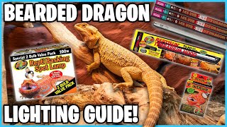 How to Setup Bearded Dragon Lights  Bearded Dragon Setup [upl. by Melly]