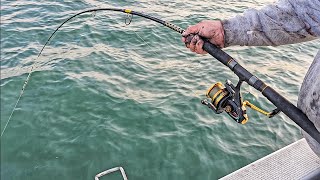 Early Season  Westernport Whiting amp Snapper Fishing [upl. by Rosol155]