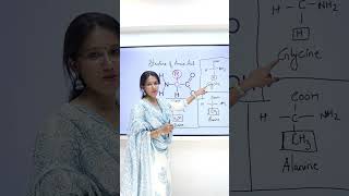 Structure of Amino Acid 🧪  NCERT Biology Class 1112  Quick Overviewquot [upl. by Ecnarual442]