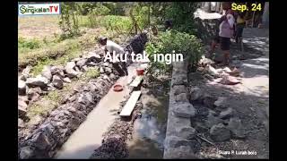 MAYA dan Lirik Muchsin Alatas Cover P Lurah Proyek Ketahanan pangan Di Rt 15 Desa Singkalan [upl. by Erek]