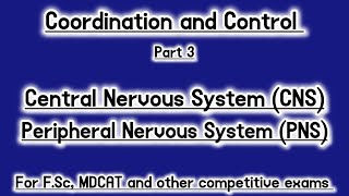 Brain Spinal Cord and PNS [upl. by Grissom]