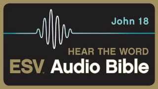 ESV Audio Bible Gospel of John Chapter 18 [upl. by Neened998]