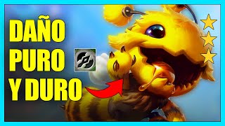 🐝​¡KOGMAW CAZADOR SIGUE SIENDO FREE ELO  TFT Set 12 [upl. by Ahsirtal]