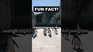 🐧💂‍♂️ Norways Knighted Penguin Sir Nils Olav 🎖️ [upl. by Franchot]